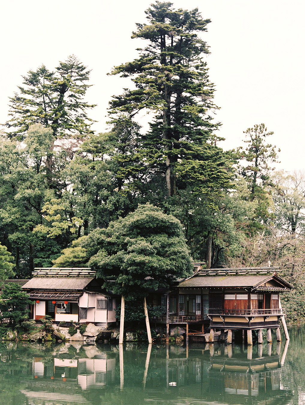 japan-matthew-johnson-1652